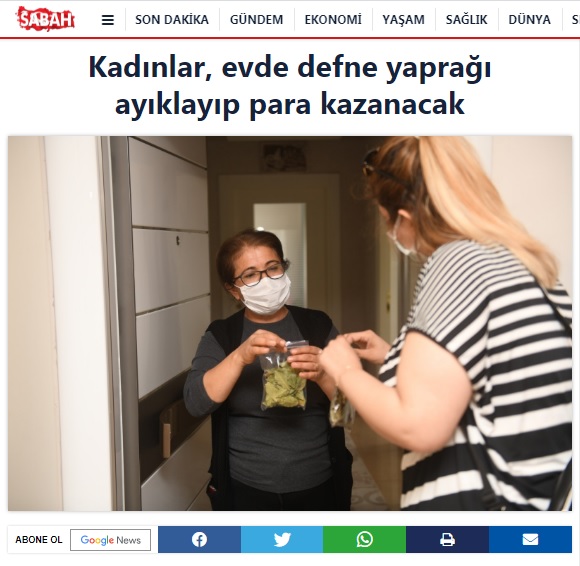 Defne yaprağı ev ekonomisine katkı sunacak