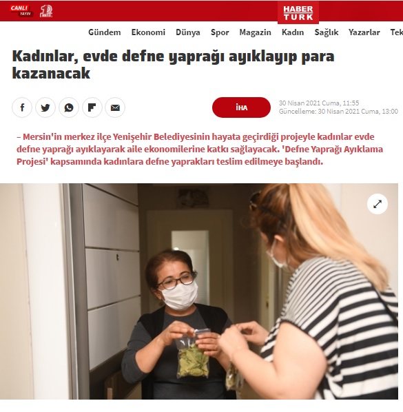 Defne yaprağı ev ekonomisine katkı sunacak