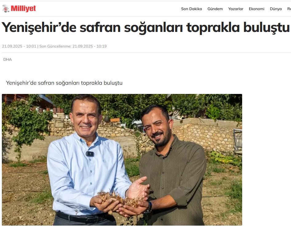 Yenişehir Belediyesinin hibe ettiği safran soğanları toprakla buluştu