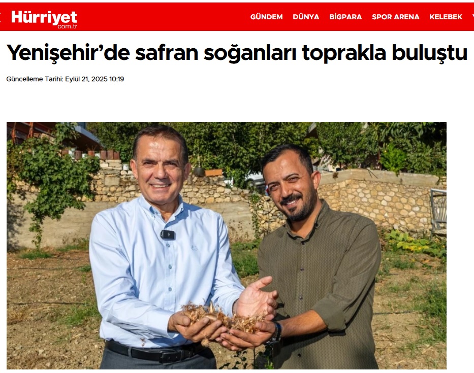 Yenişehir Belediyesinin hibe ettiği safran soğanları toprakla buluştu