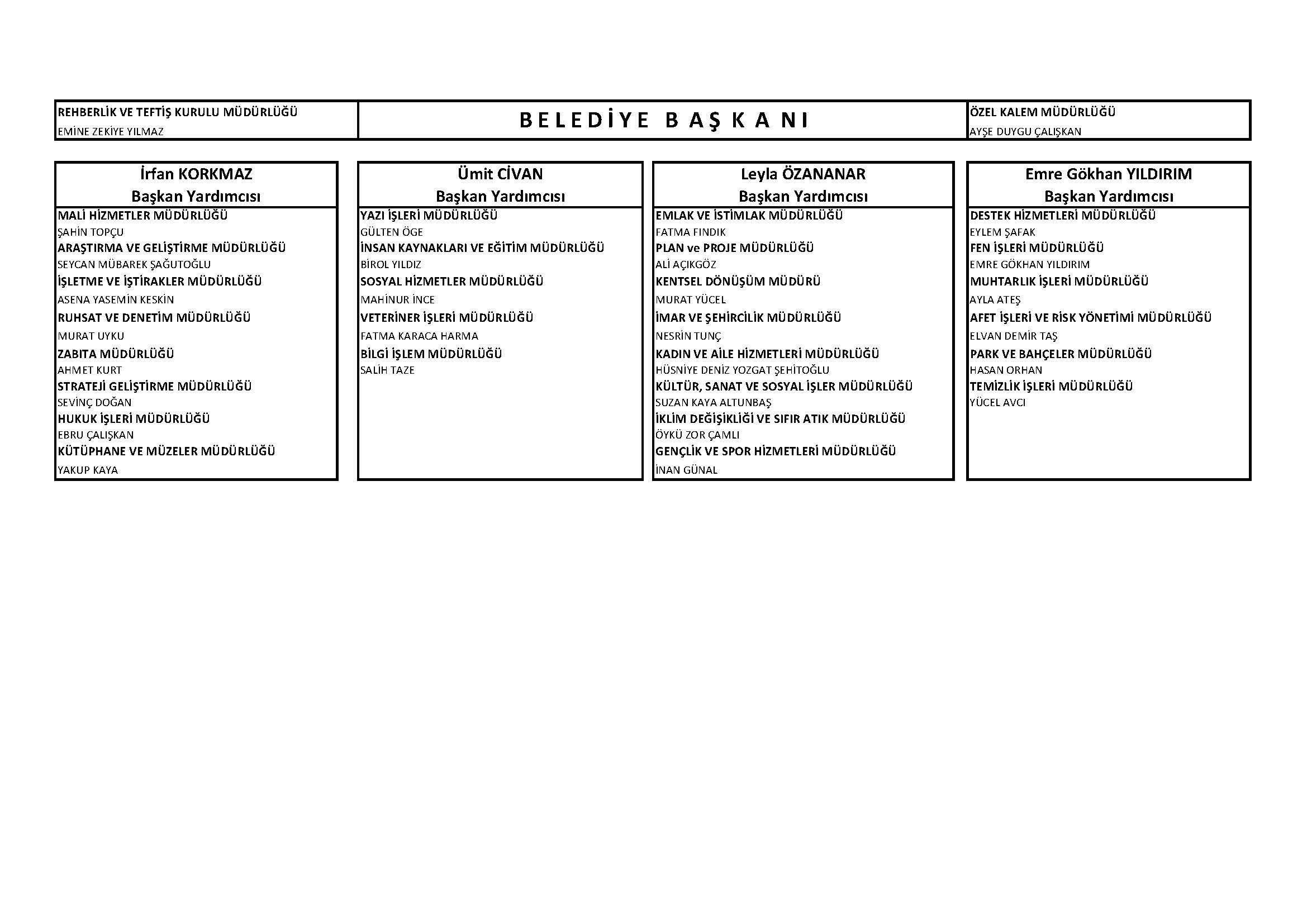 Organizasyon şeması