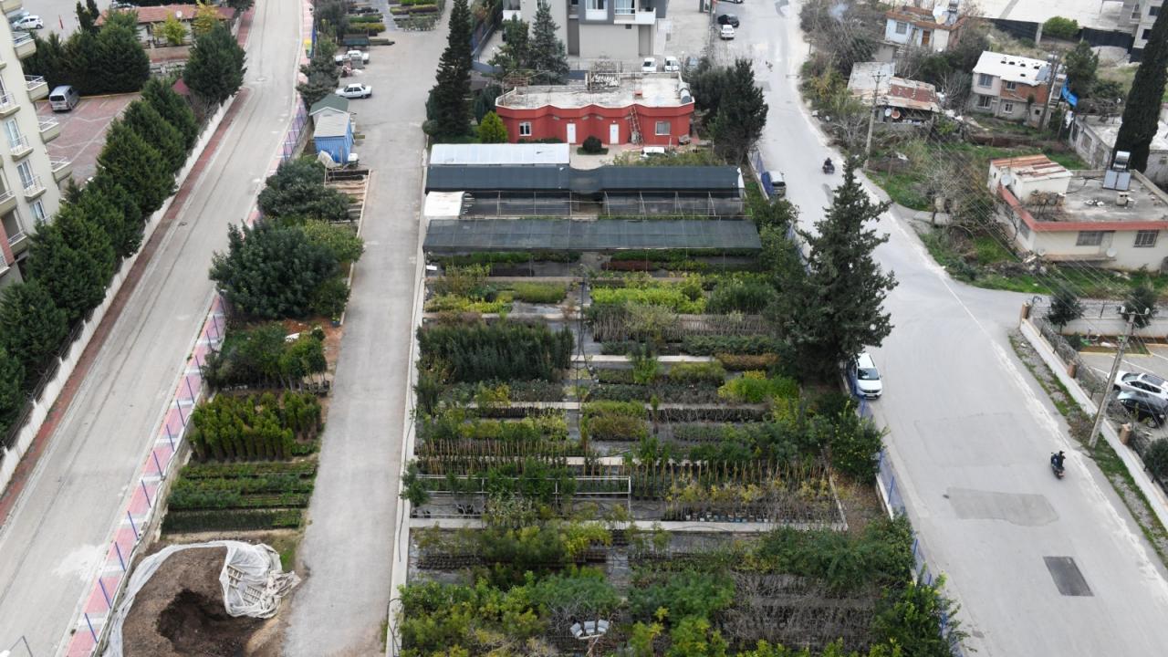 Yenişehir Belediyesi fidanlığı üretiyor kent yeşilleniyor