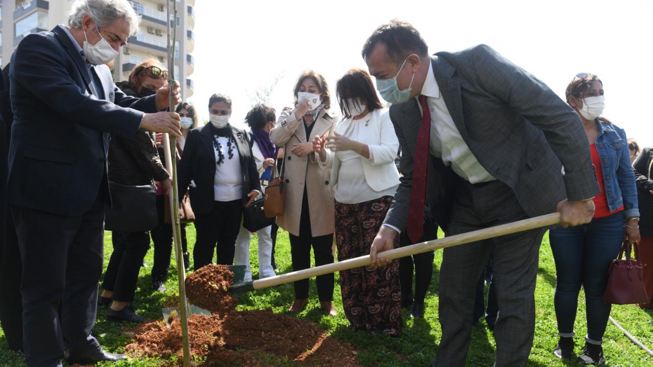 Mimozalar Yenişehir’de toprakla buluştu