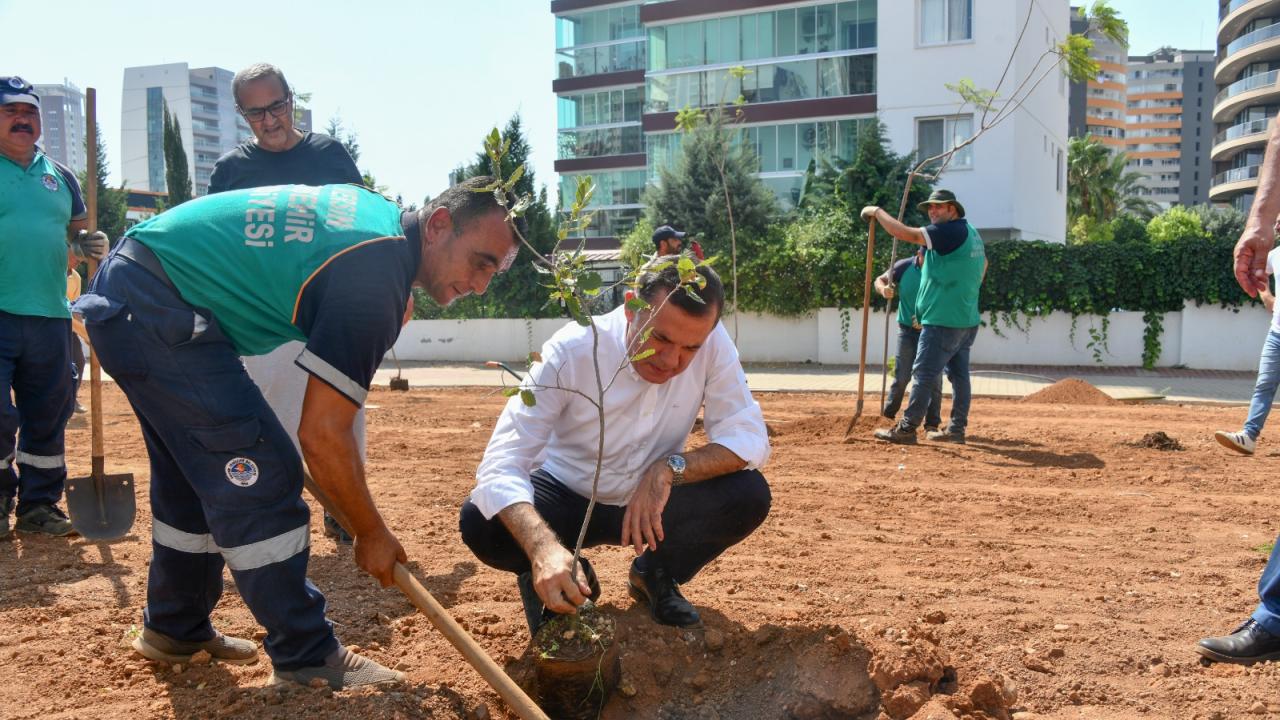 Başkan Özyiğit, “Bir metre asfalt yapıyorsak onun yerine de beş ağaç dikmeliyiz”