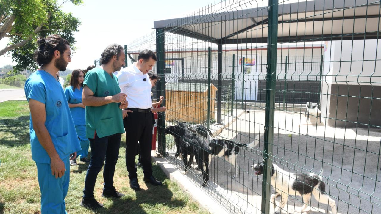 Başkan Özyiğit, “Bakımevimizde sokak hayvanlarını sahiplendirmeye başladık”