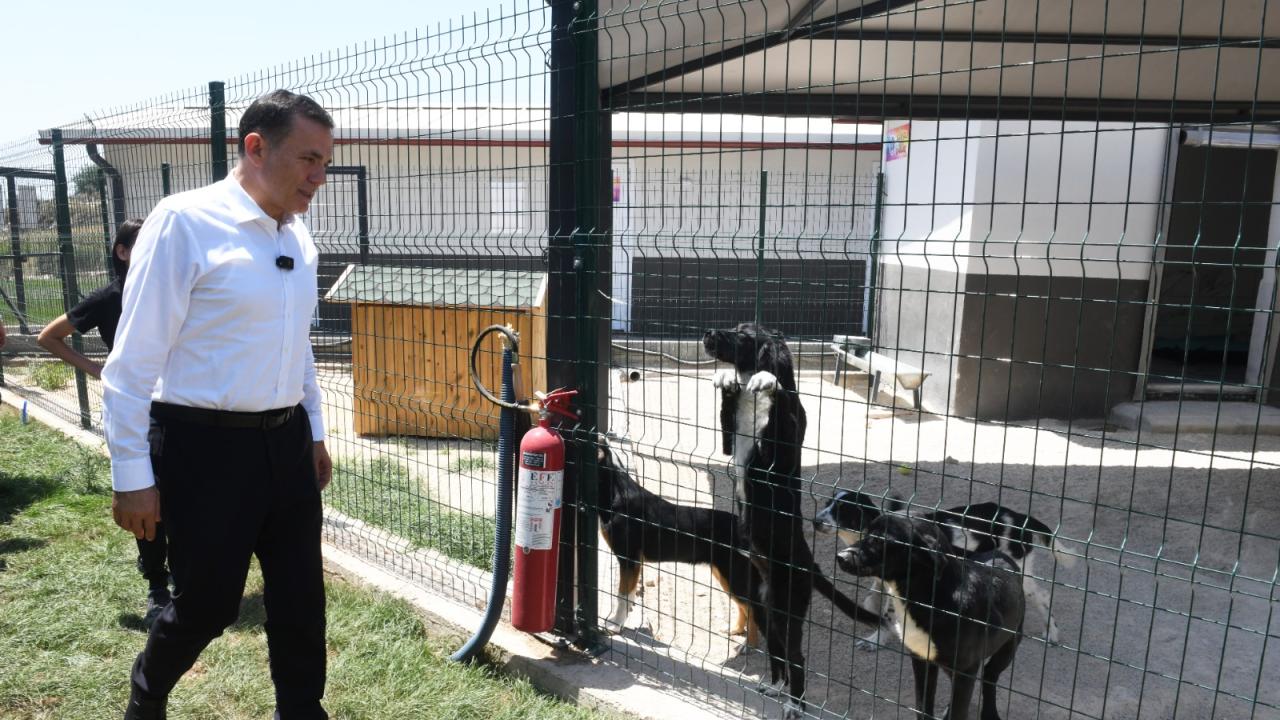 Başkan Özyiğit, “Bakımevimizde sokak hayvanlarını sahiplendirmeye başladık”