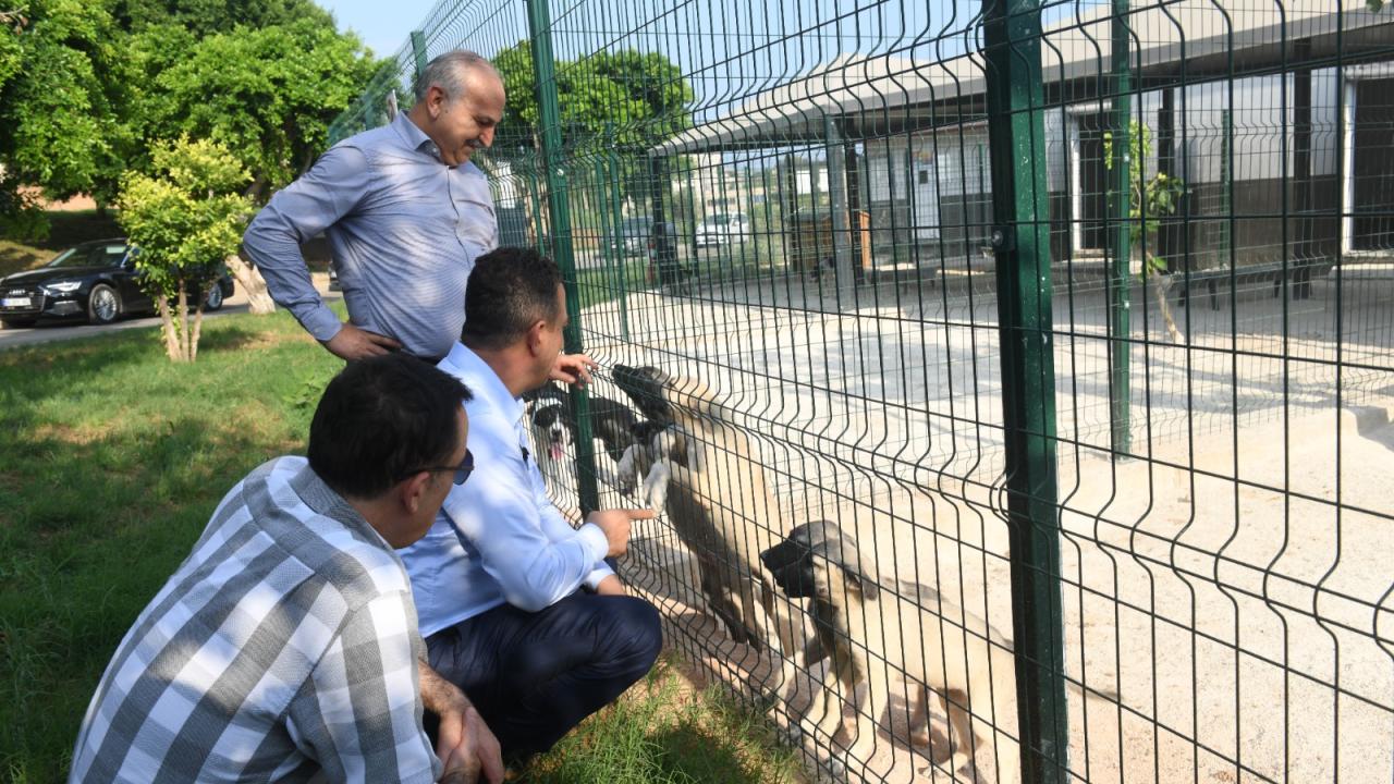 CHP Mersin milletvekilleri Yenişehir Belediyesinin hayvan bakımevini gezdi