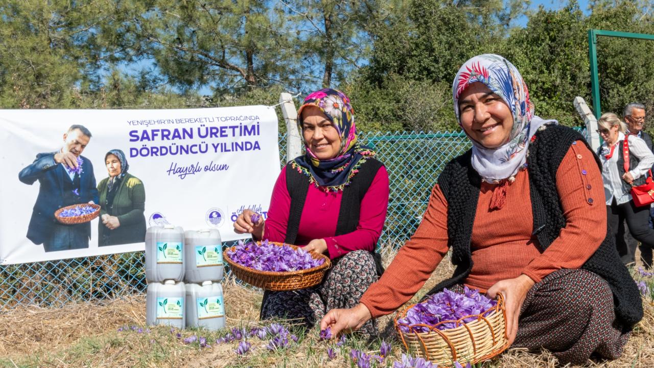 Başkan Özyiğit, “Türkiye’nin en çok safran üreten ilçelerinden biri olabiliriz