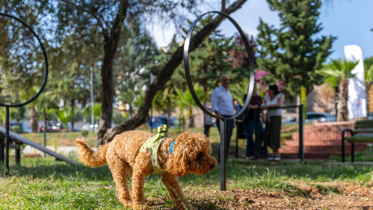 Yenişehir Belediyesinden patili dostlara özel park