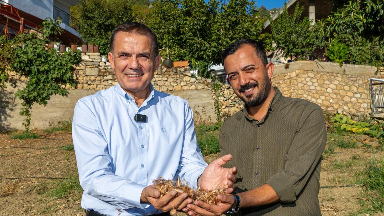 Yenişehir Belediyesinin hibe ettiği safran soğanları toprakla buluştu