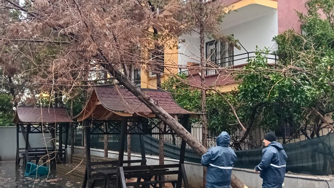 Yenişehir Belediyesi fırtınaya karşı seferber oldu!