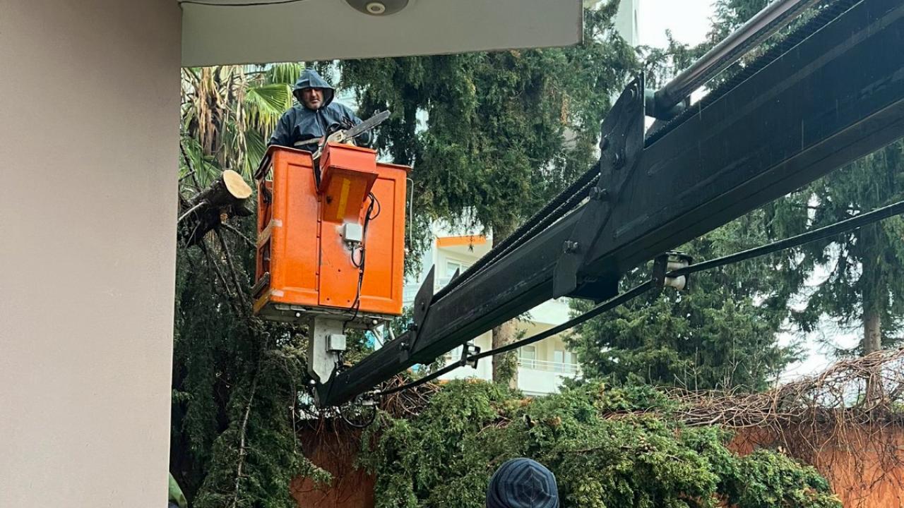 Yenişehir Belediyesi fırtınaya karşı seferber oldu!