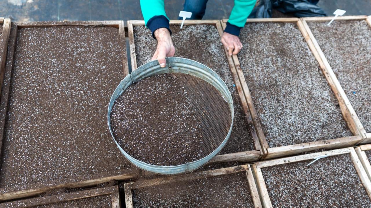 Yenişehir’de ‘Ekolojik Tarım’ hamlesi