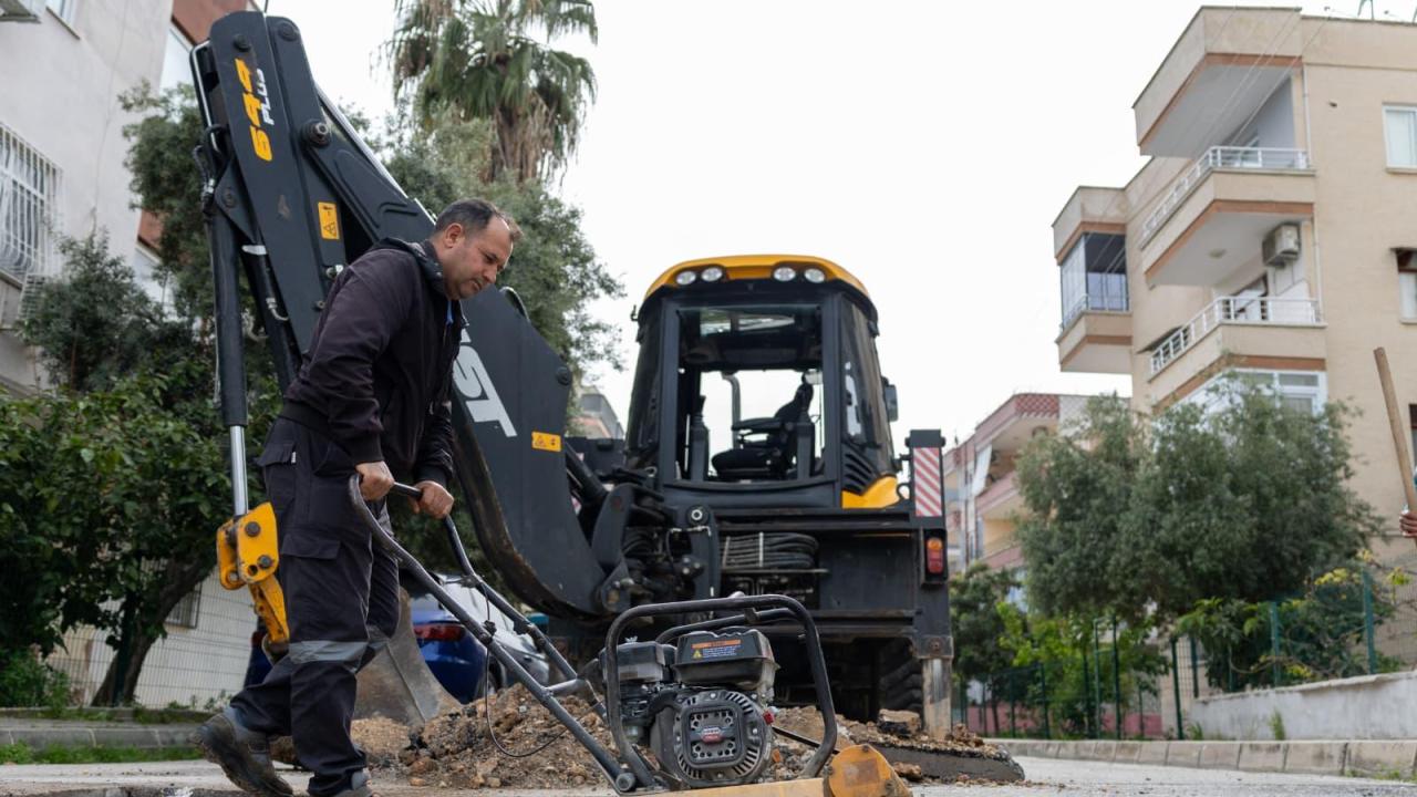 Yenişehir, Türkiye'ye yol gösteriyor