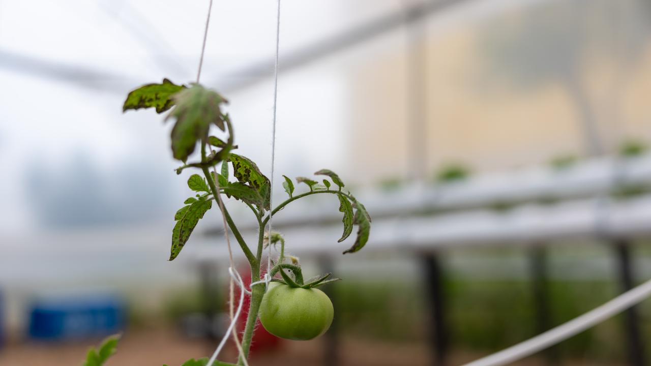 Yenişehir’den eğitime ‘Yeşil’ destek