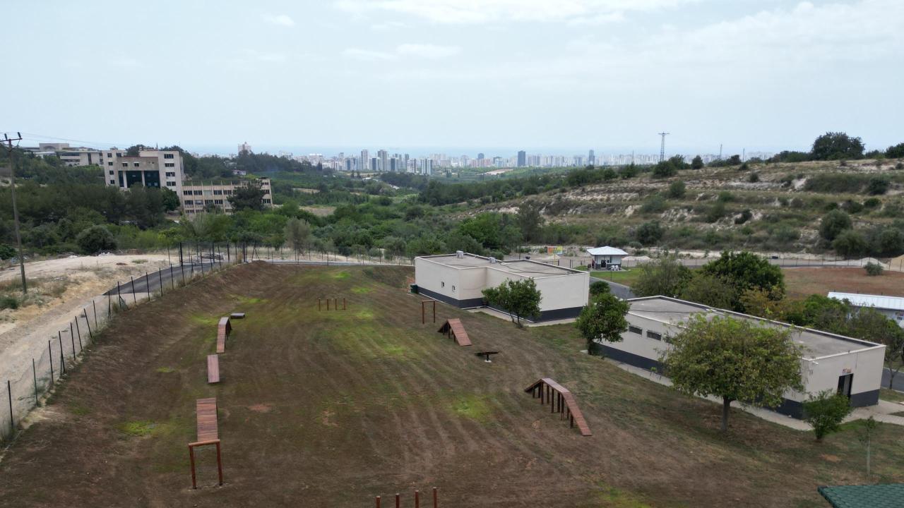 Yenişehir’de patili dostlara 5 yıldızlı hizmet