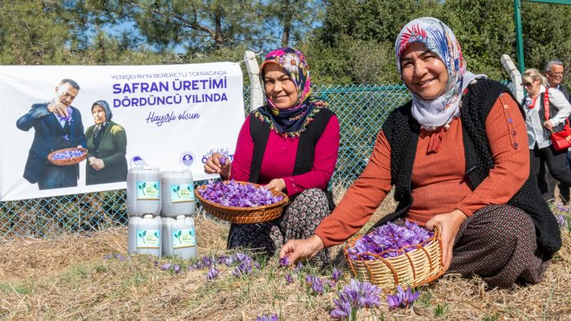 Başkan Özyiğit, “Türkiye’nin en çok safran üreten ilçelerinden biri olabiliriz