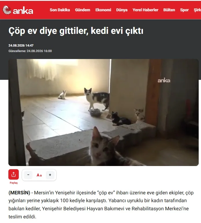 Basında Biz