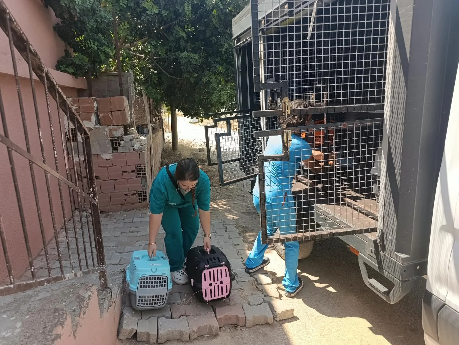‘Çöp Ev’ beklerken ‘Kedi Evi’ çıktı