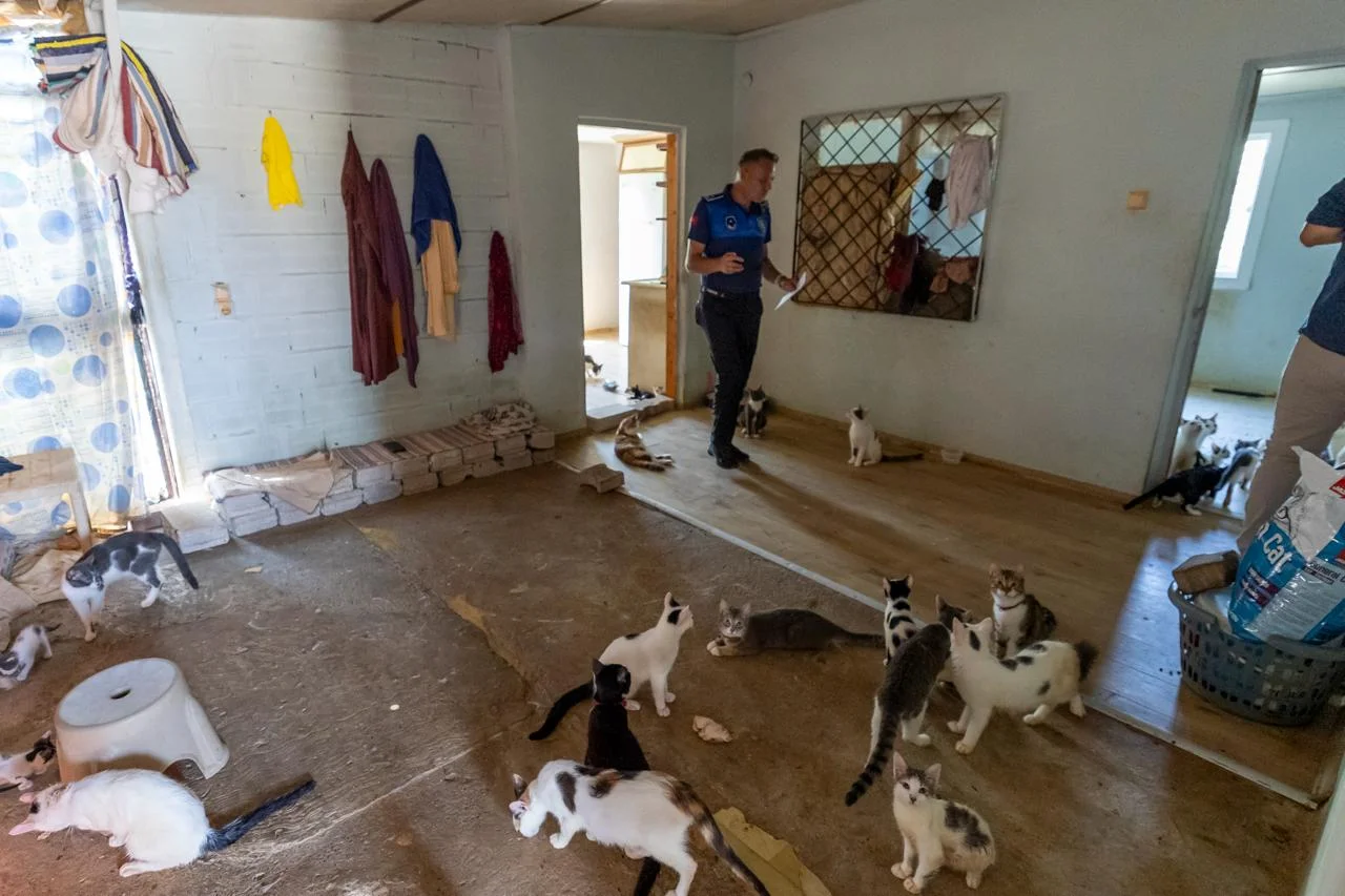 ‘Çöp Ev’ beklerken ‘Kedi Evi’ çıktı