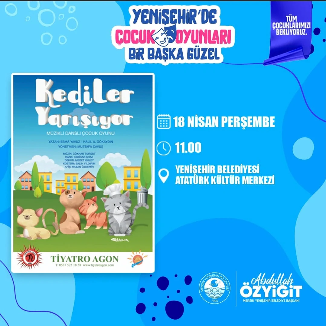 Kediler Yarışıyor