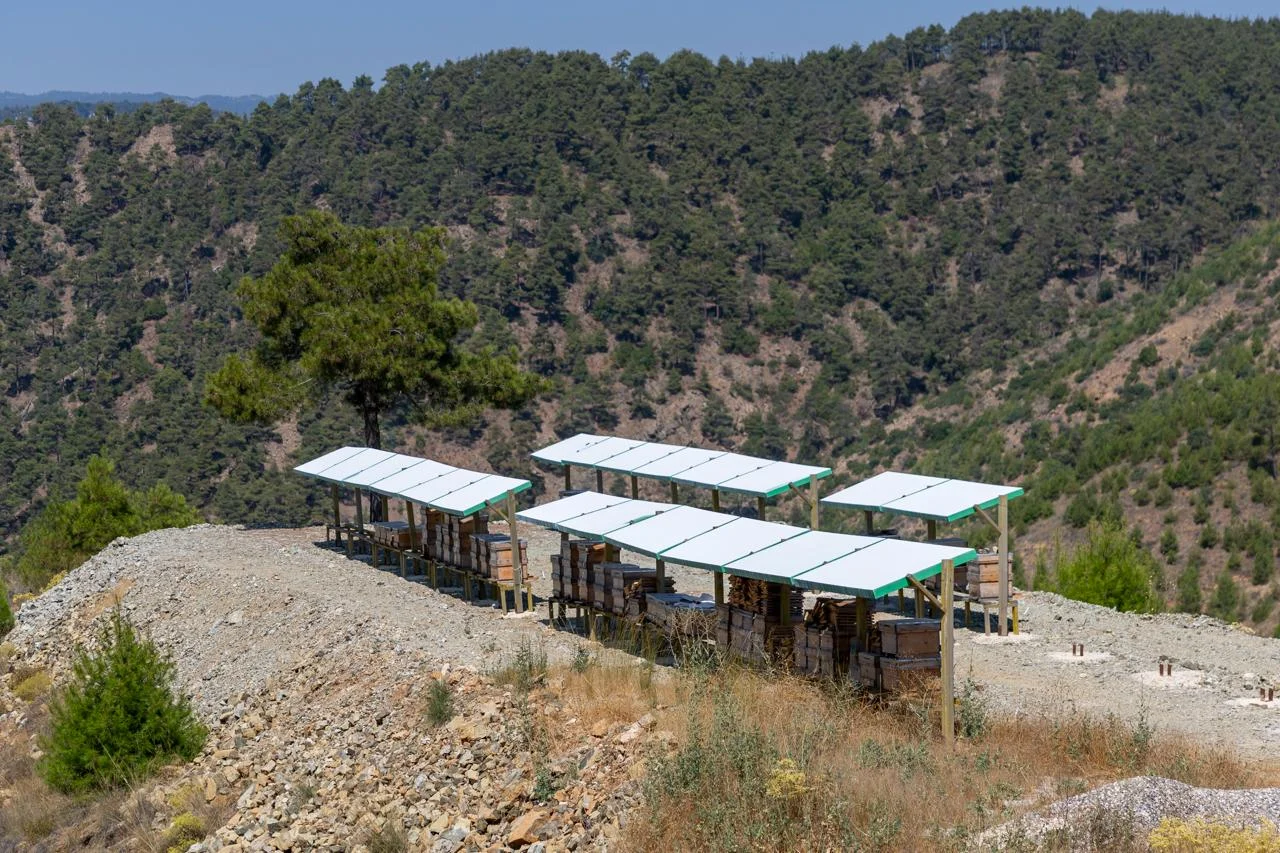 Yenişehir’de bal için geri sayım
