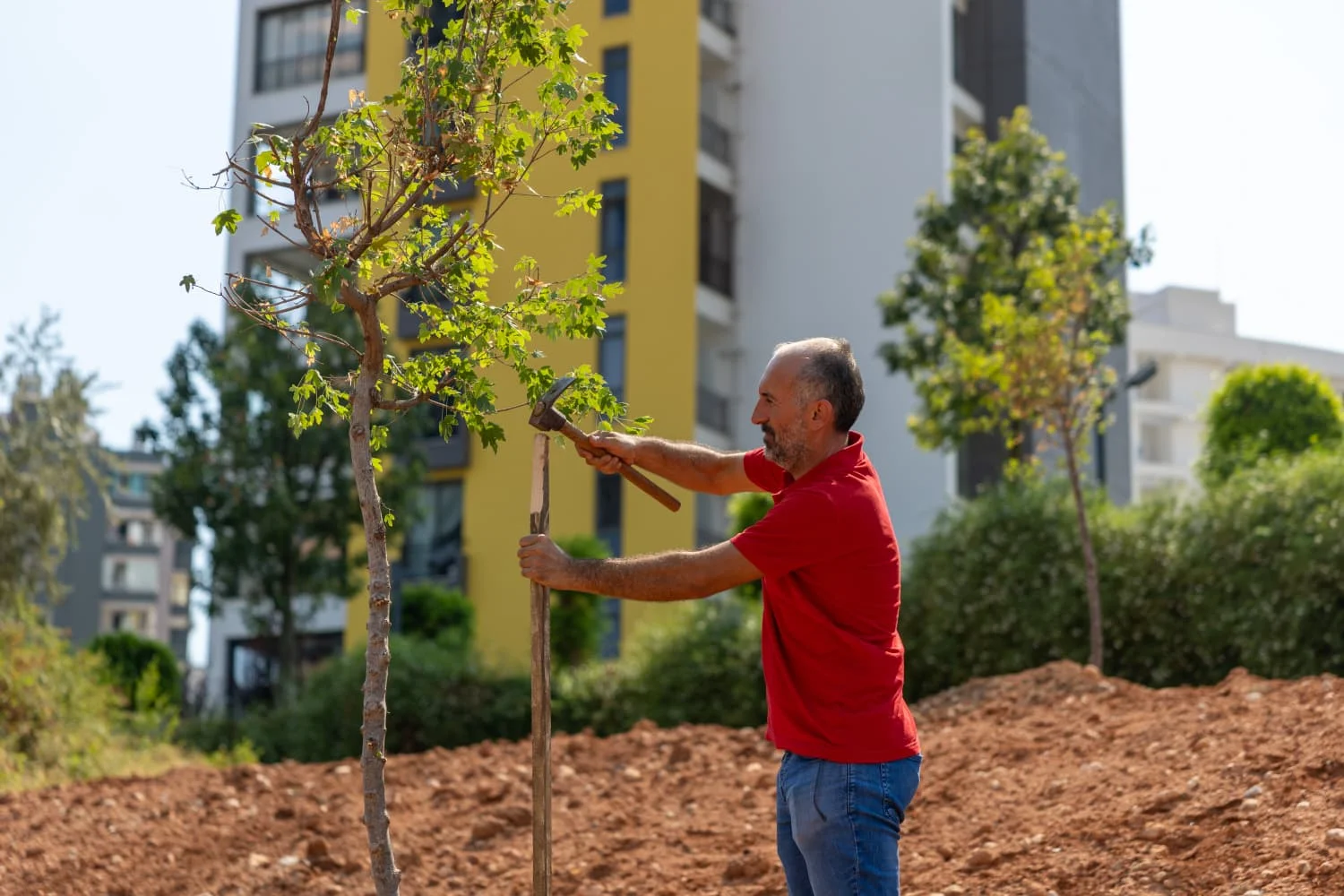 Yenişehir’de bunaltan sıcaklara yeşil reçete
